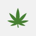 Cannabis/ Hash